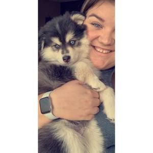 Meet your Posher, Mara